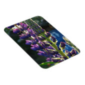 Purpurblumen Foto Magnet (Rechte Seite)