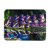 Purpurblumen Foto Magnet (Horizontal)