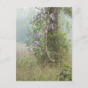 Purpurblumen im Wald Postkarte