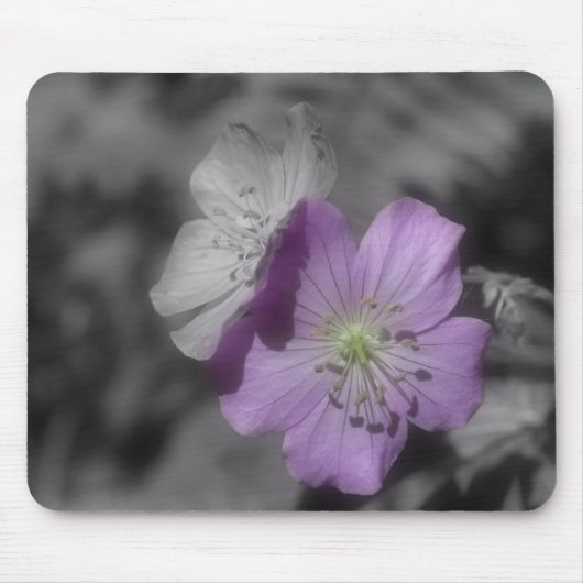 Purpurblumen in Schwarz-Weiß-Mousepad Mousepad (Vorne)