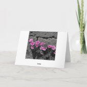 Purpurblumen Karte (Rückseite)