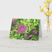 Purpurblumen Karte (Gelbe Blume)