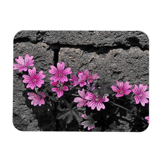 Purpurblumen Magnet (Horizontal)