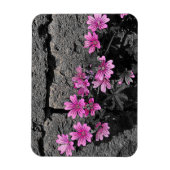 Purpurblumen Magnet (Vertikal)