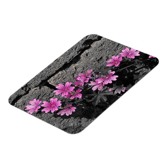 Purpurblumen Magnet (Linke Seite)