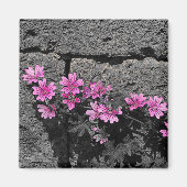 Purpurblumen Magnet (Vorne)