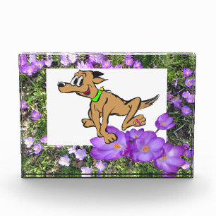 Purpurblumen mit Lila Crocuses-Foto-Block Fotoblock