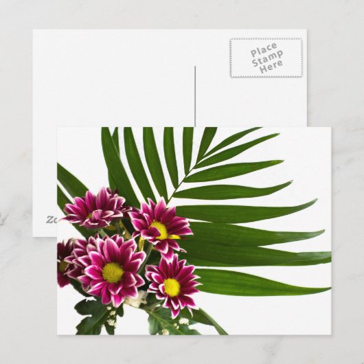 Purpurblumen Postkarte (Vorne/Hinten)