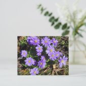 Purpurblumen Postkarte (Stehend Vorderseite)