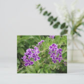 Purpurblumen Postkarte (Stehend Vorderseite)