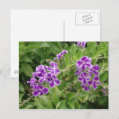Purpurblumen Postkarte (Vorne/Hinten)