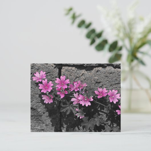 Purpurblumen Postkarte (Stehend Vorderseite)