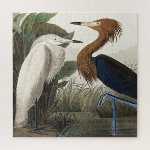 Purpurreiher aus Birds of America Puzzle