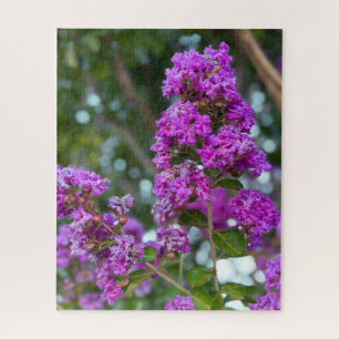 Purpurrote Crape Myrte, Livermore Puzzle