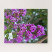 Purpurrote Crape Myrte, Livermore Puzzle (Horizontal)