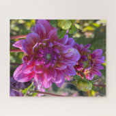 Purpurrote Dahlie, Oakland Puzzle (Horizontal)