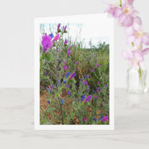 Purpurrote Natternkopf, Echium Plant Karte