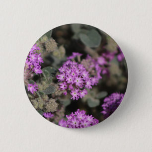 Purpurverbena Coachella Valley Wildlife Preserve Button
