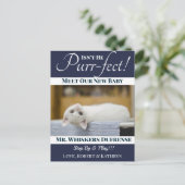 "Purr-fect" Ankündigung der neuen Katze Postkarte (Stehend Vorderseite)