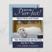 "Purr-fect" Ankündigung der neuen Katze Postkarte (Vorne/Hinten)