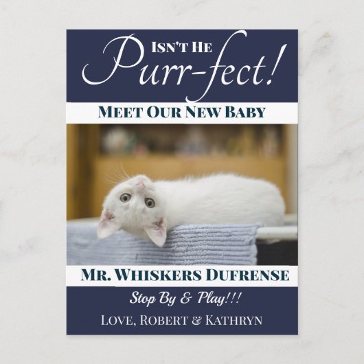 "Purr-fect" Ankündigung der neuen Katze Postkarte (Vorderseite)
