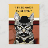 Purr-fect Cat-Kostüm Postkarte (Vorderseite)