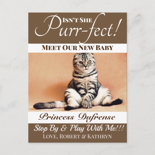 "Purr-fect" New Cat Announcement Brown Postkarte (Vorderseite)