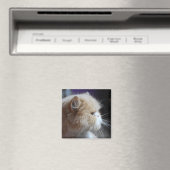 Purr-fect Persian Cat Magnet (In Situ (Geschirrspüler))