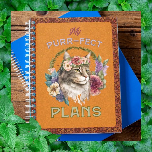 Purr-fect plans Maine Coon yellowish brown Planer