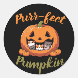 Purr-fect Pumpkin Halloween Sticker
