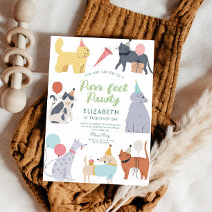 Purr-fekte Geburtstagsparty Katzen Hunde Einladung
