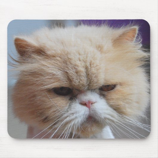 Purr-fekte Perser-Mauspad Mousepad (Vorne)