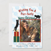 Purr frohe Weihnachten Spielende Katzen Foto (Vorderseite)