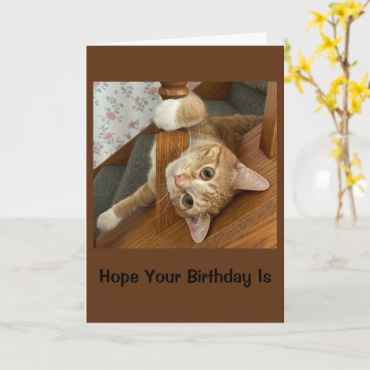 Purr-glücklich Geburtstag Karte (Gelbe Blume)