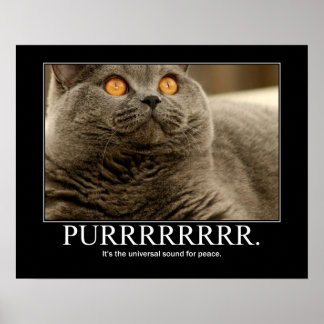 Purr ist der universelle Klang für die Friedensarb Poster
