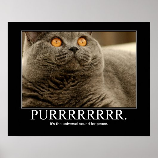 Purr ist der universelle Klang für die Friedensarb Poster (Vorne)