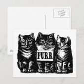 Purr Kittens Postkarte (Vorne/Hinten)