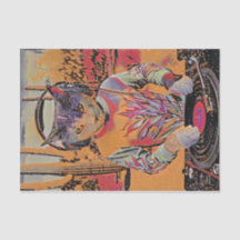 Purr Mix-a-Lot, Dj Kitty Spins Tunes stilisiert