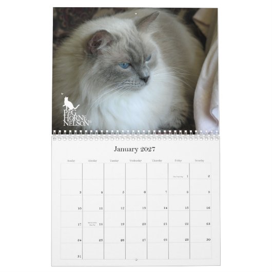 Purrfect Augen! Katzen-Kalender 2012 Kalender (Jan 2027)