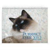 Purrfect Augen! Katzen-Kalender 2012 Kalender (Titelbild)