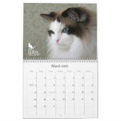 Purrfect Augen! Katzen-Kalender 2012 Kalender (Mär 2026)