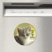 Purrfect Day Kitten Magnet (In Situ (Geschirrspüler))
