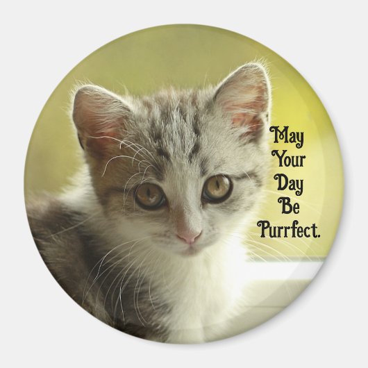 Purrfect Day Kitten Magnet (Vorne)