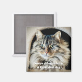 Purrfect Day Magnet (Vorderseite/Rückseite)