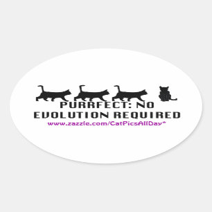 Purrfect Evolutionpromo-Aufkleber Ovaler Aufkleber
