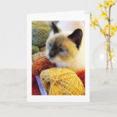 Purrfect Geburtstag, siamesische Katze im Garn Karte (Gelbe Blume)