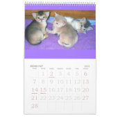 Purrfect Kätzchen-u. Katzen-Kalender Kalender (Feb 2027)