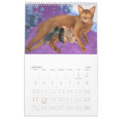 Purrfect Kätzchen-u. Katzen-Kalender Kalender (Jan 2027)