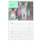 Purrfect Kätzchen-u. Katzen-Kalender Kalender (Mär 2027)