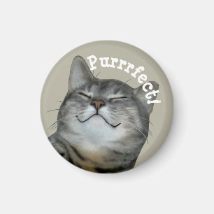 Purrfect Lächelnde Kätzin Magnet